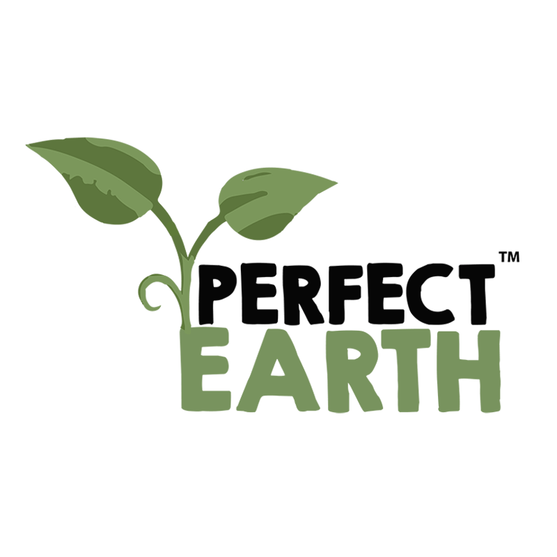 Perfect Earth